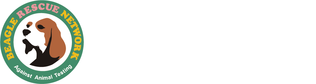 비글구조네트워크
