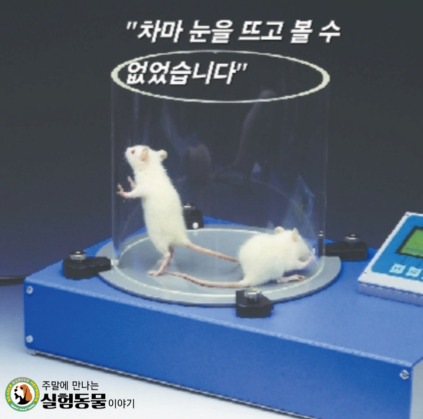 뜨거운플레이트.jpg