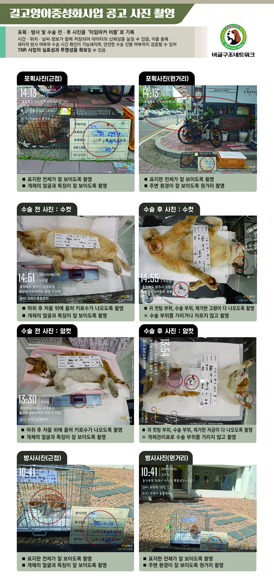 길고양이중성화-사진(세로).jpg