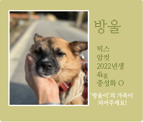 방울.gif