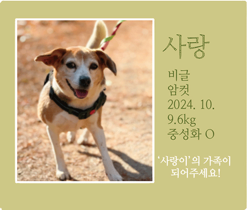 사랑.gif