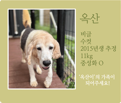 옥산.gif