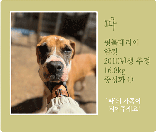 파.gif