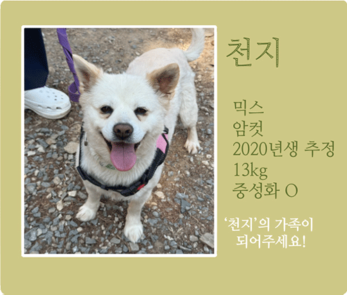 천지.gif