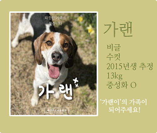 가랜.gif