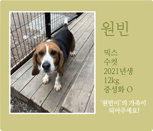 원빈.gif