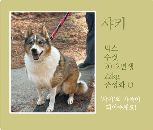 샤키.gif