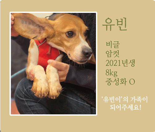 유빈.gif