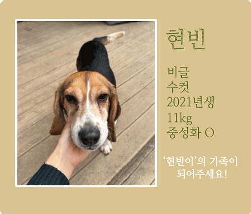 현빈.gif