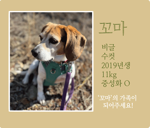 꼬마.gif