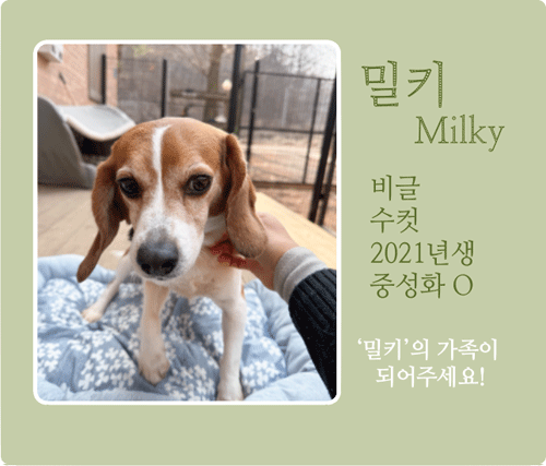 밀키.gif