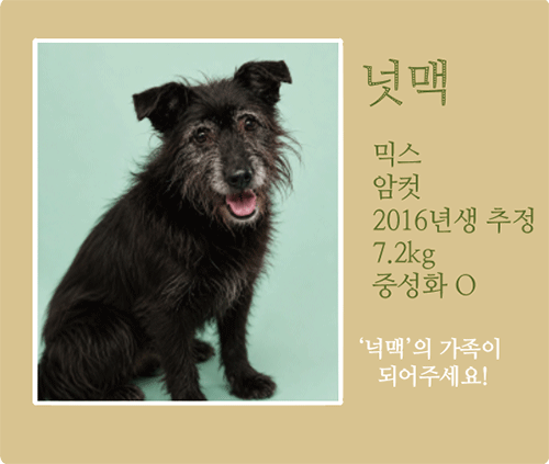 넉맥.gif