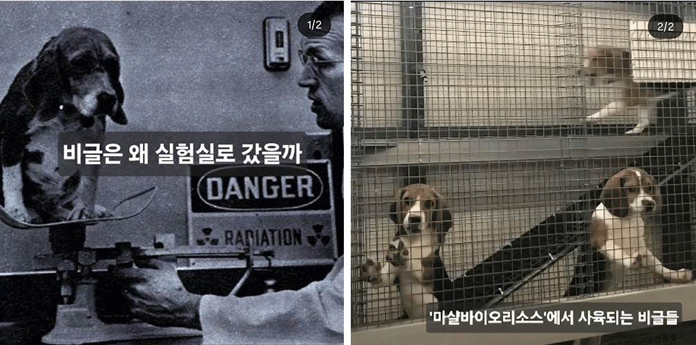 제목-없음-2.gif