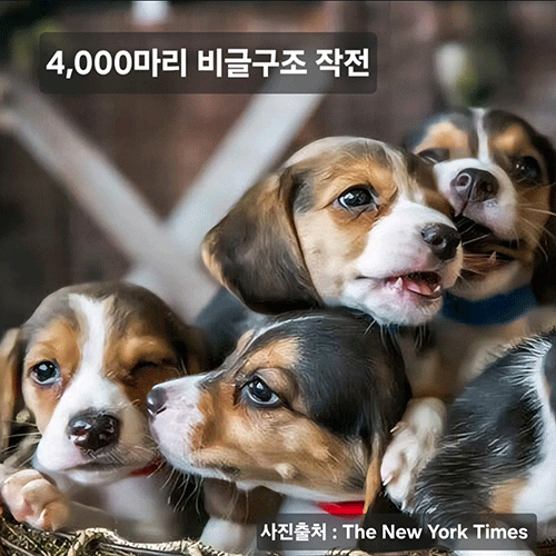 Screenshot_20260621_192923_Instagram.gif