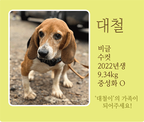 대철.gif