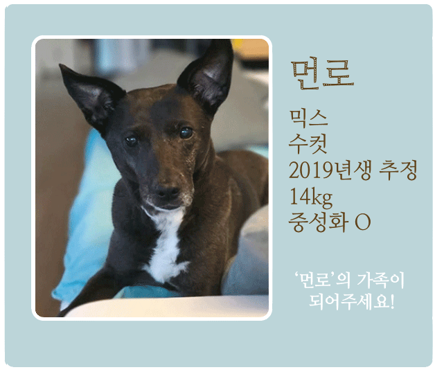 먼로.gif