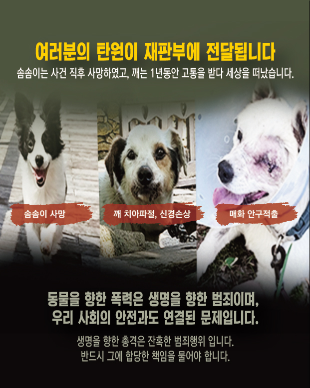 게시물-02.jpg